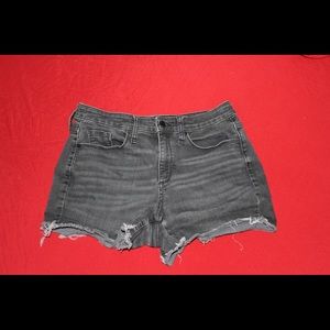 Universal thread Shorts